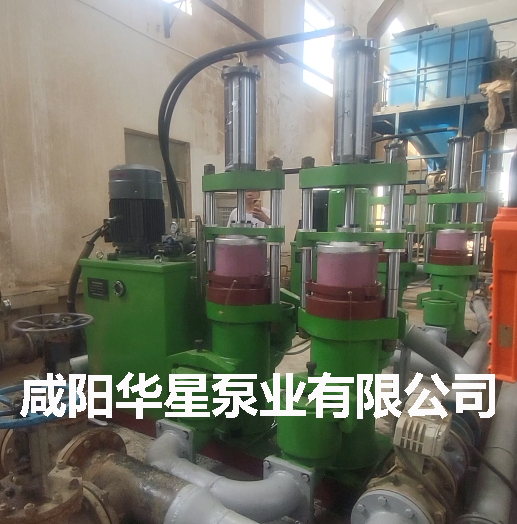 市政污水處理廠(chǎng)柱塞泵替換螺桿泵